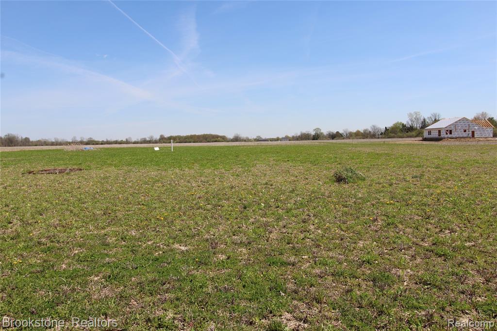 Vacant Lot D Vacant Road Columbus, MI 48063 - Photo 2 of 12