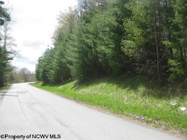 Lot 16 Northpoint Davis, WV 26260 - Photo 3 of 8 Gallery Image 3