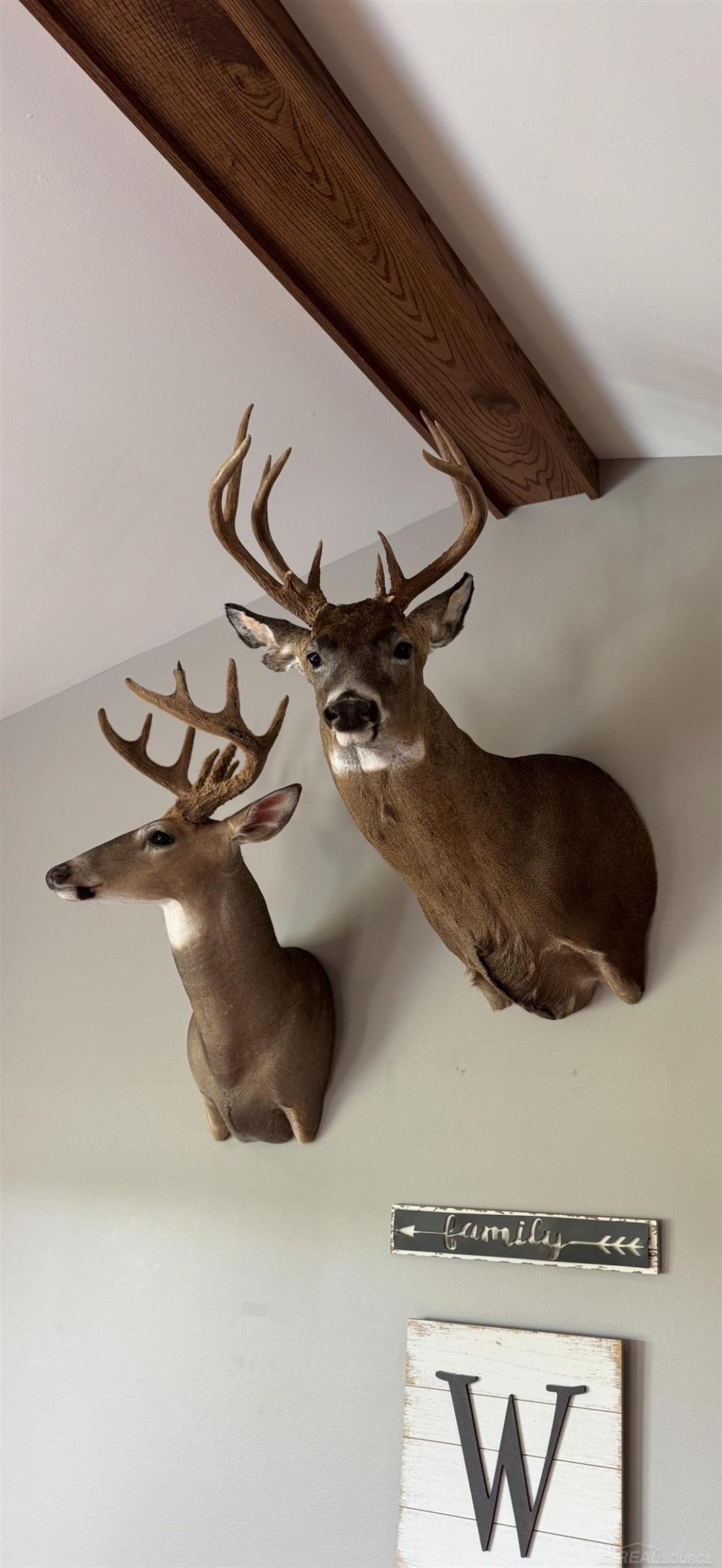 13559 Jeddo Road Yale, MI 48097 - Photo 21 of 69