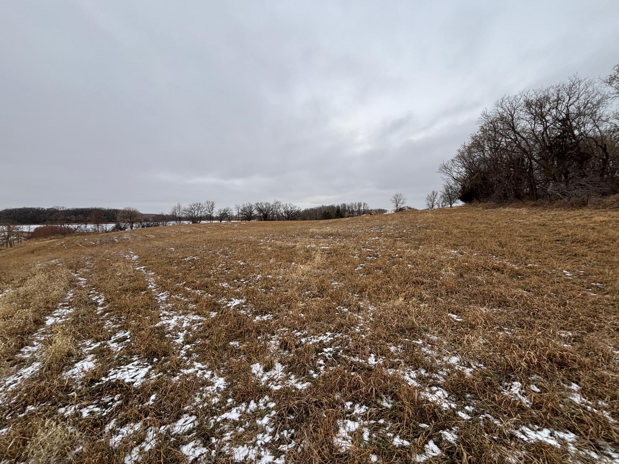 17573 290th Street Glenwood, MN 56334 - Photo 12 of 28