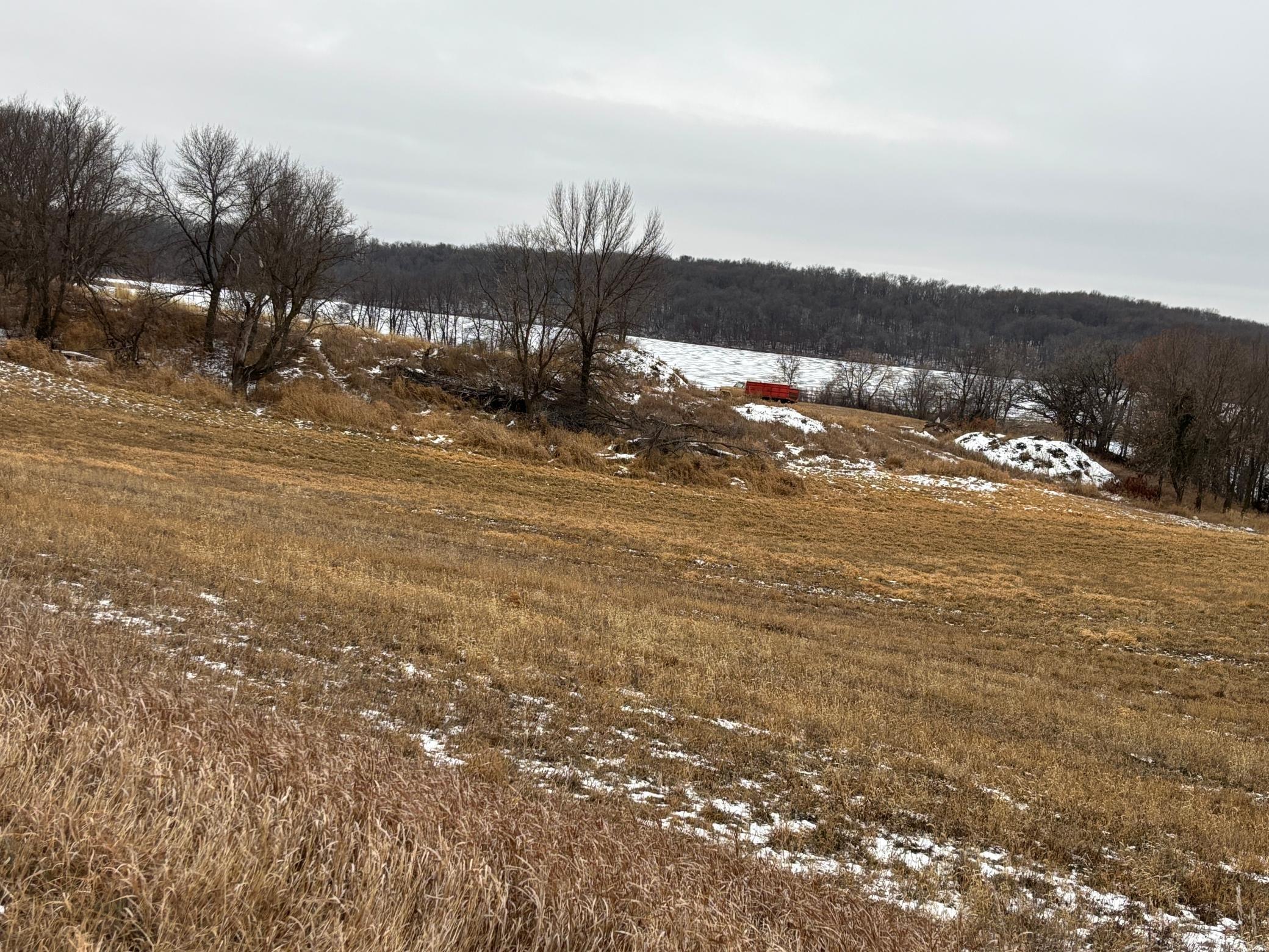 17573 290th Street Glenwood, MN 56334 - Photo 22 of 28