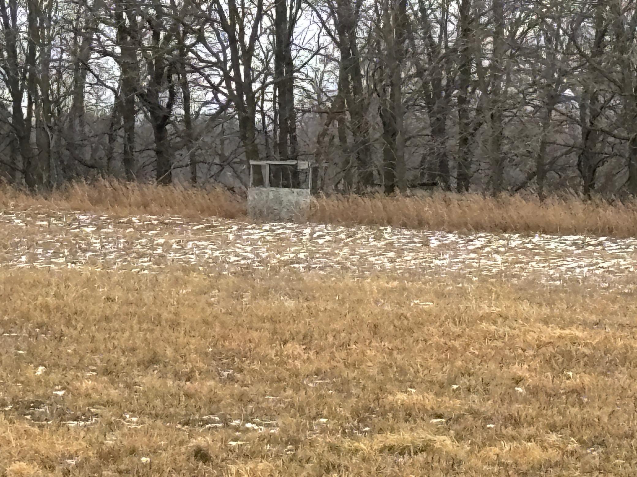 17573 290th Street Glenwood, MN 56334 - Photo 23 of 28