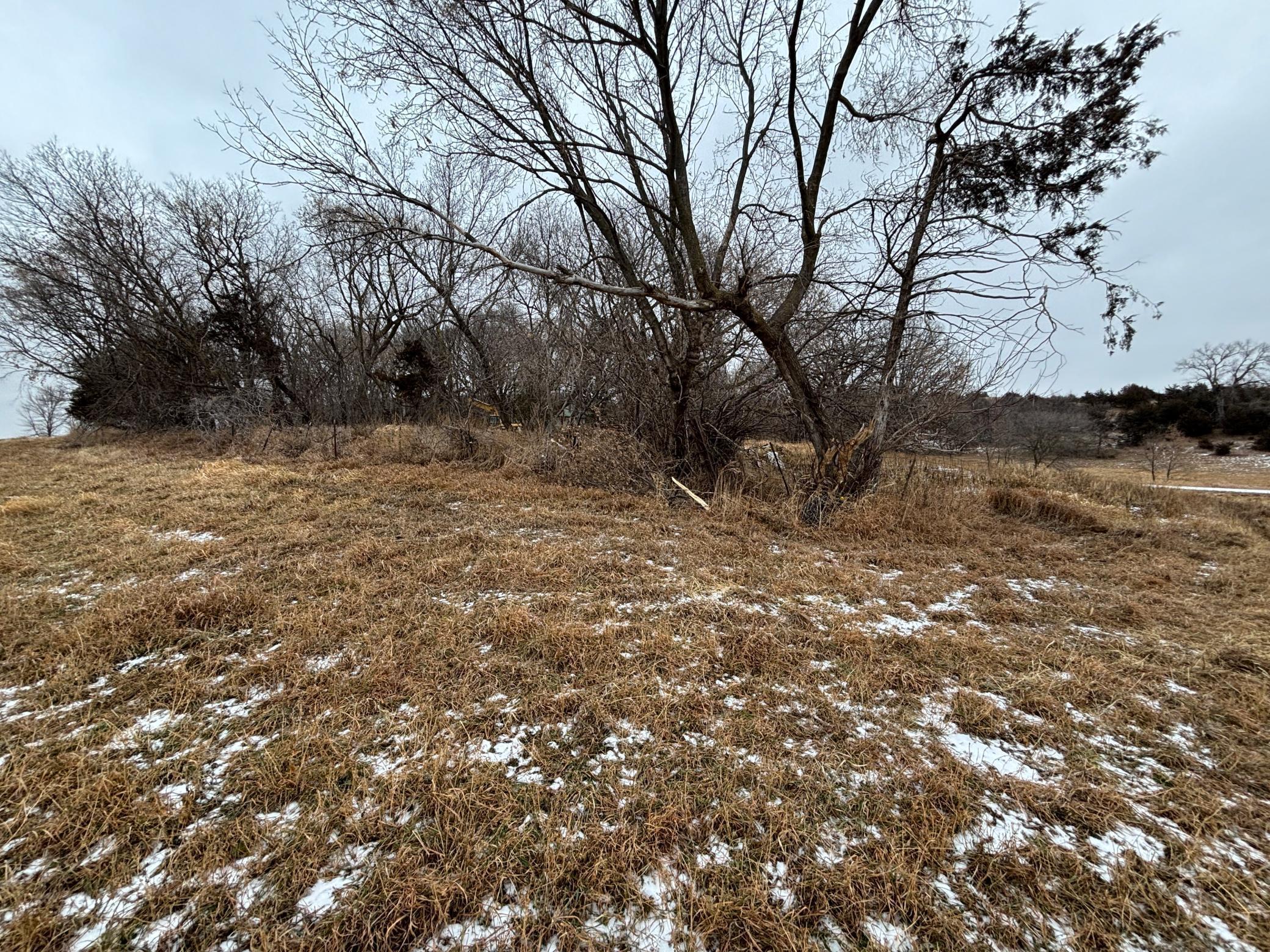 17573 290th Street Glenwood, MN 56334 - Photo 5 of 28