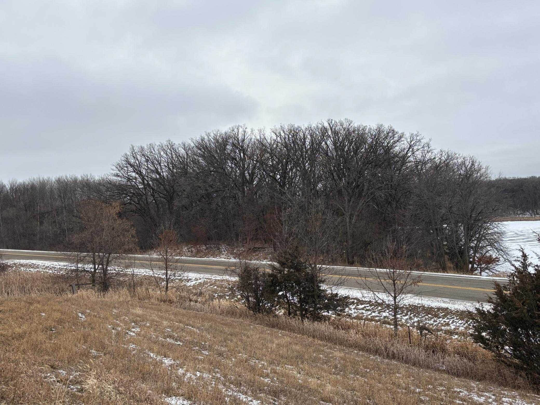 17573 290th Street Glenwood, MN 56334 - Photo 8 of 28