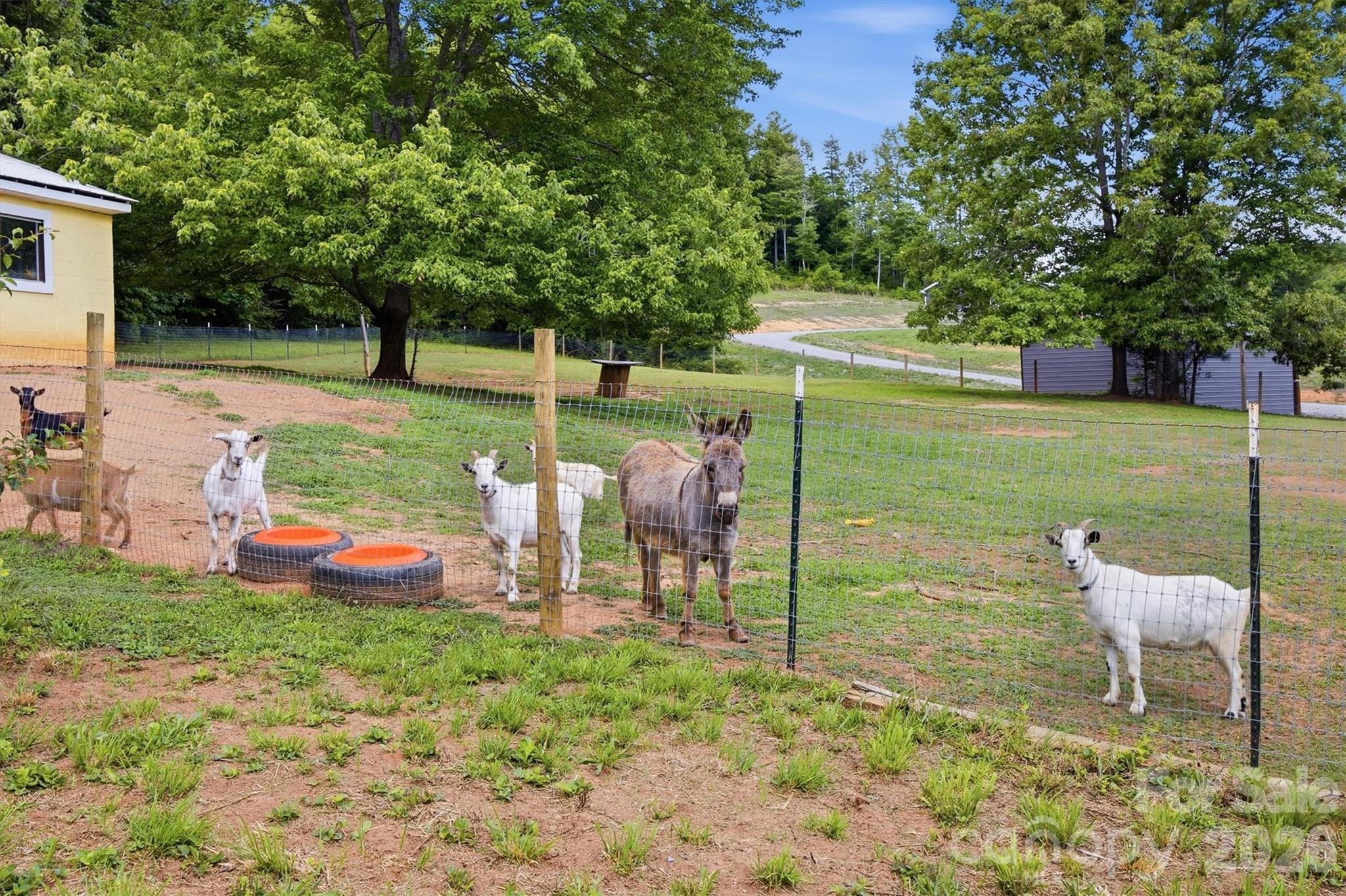 360 Johnson Caldwell Road Boomer, NC 28606 - Photo 4 of 48