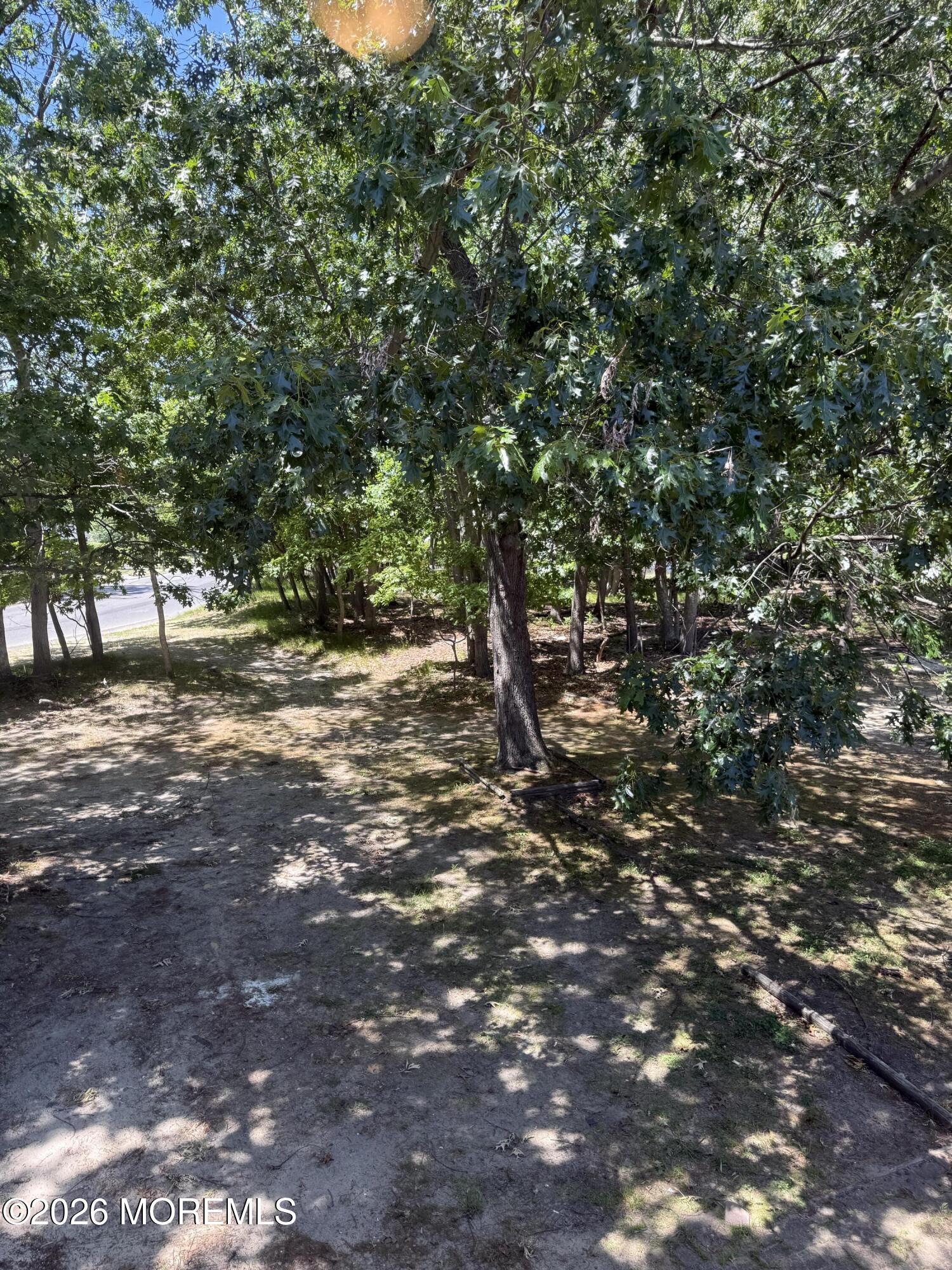 5 Canary Circle Howell, NJ 07731 - Photo 29 of 32 a view of a tree in the middle of a yard