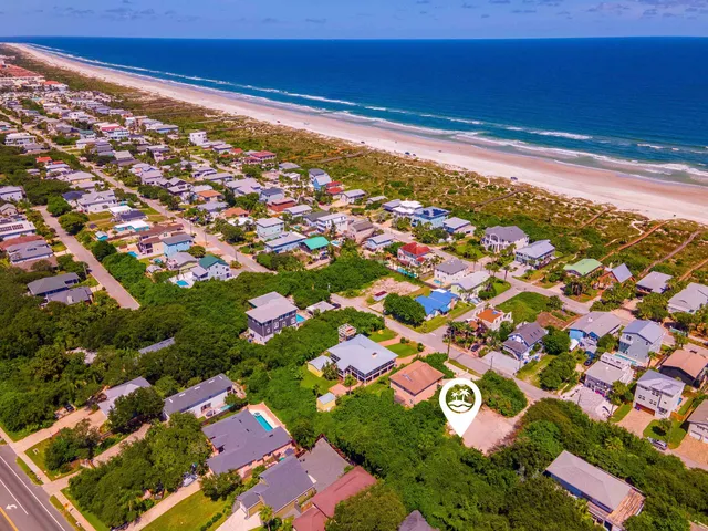 a view of a pathway covered with flower plants