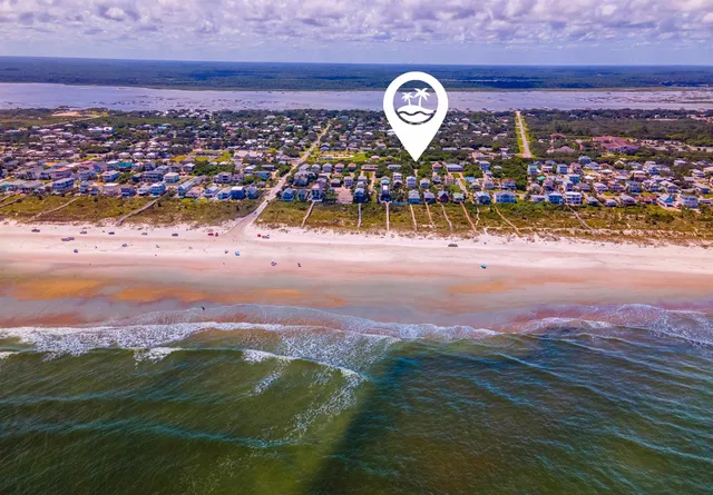 a view of a bunch of plants and flowers