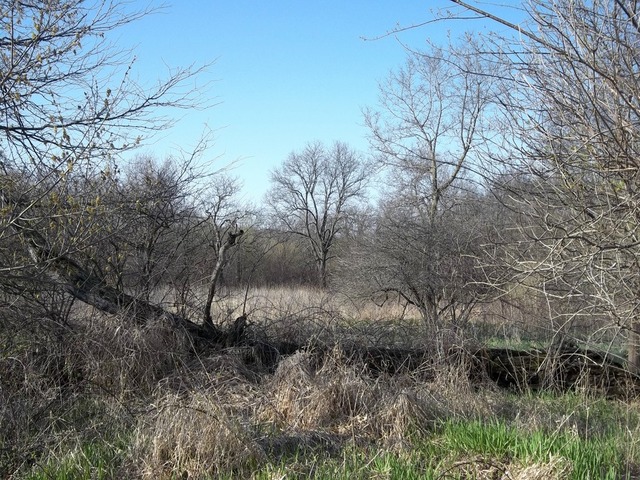 0 West Wilson Mill Road Polo, IL 61064 - Photo 4 of 15 a view of a dry yard