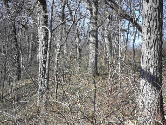 0 West Wilson Mill Road Polo, IL 61064 - Photo 7 of 15
