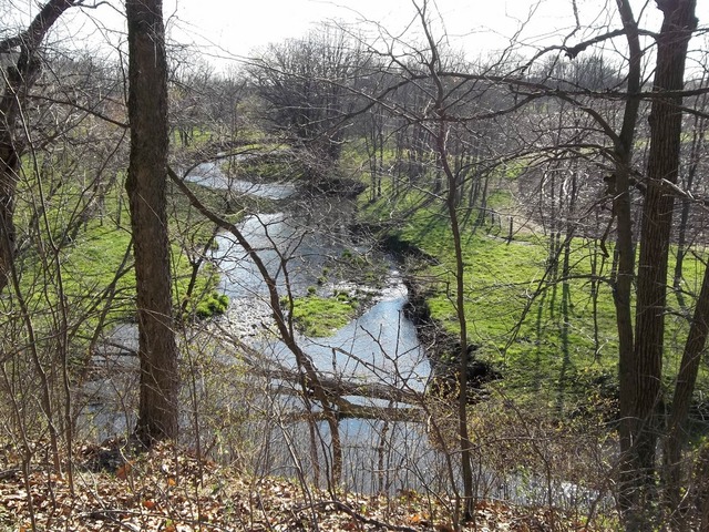 0 West Wilson Mill Road Polo, IL 61064 - Photo 10 of 15 a view of a yard with plants and trees