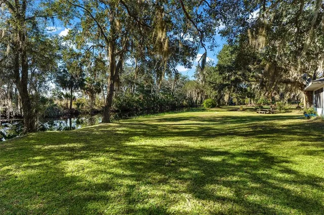 a view of a grassy field with trees