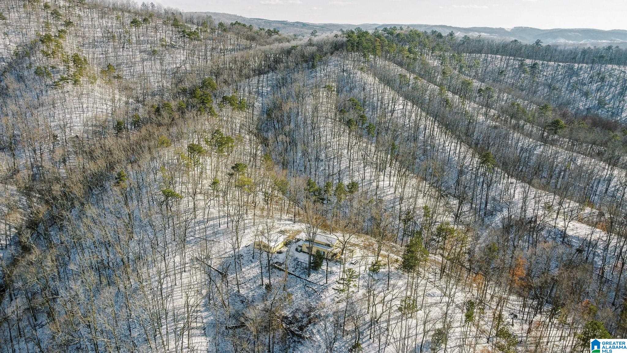 5325 Union T Road Talladega, AL 35160 - Photo 75 of 83