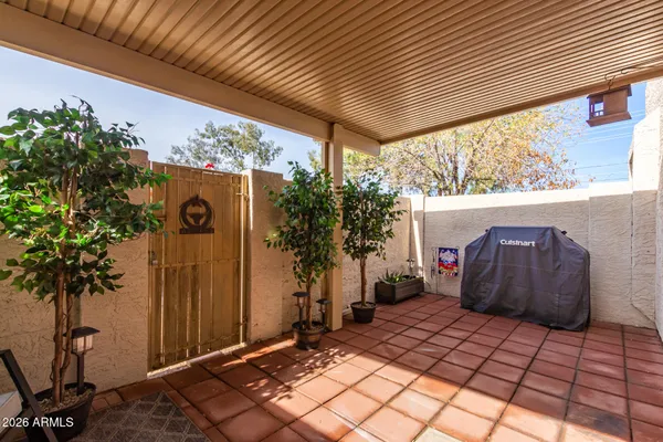 a outdoor space with lots of potted plants