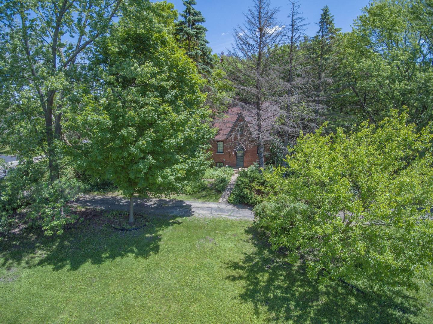 2331 West Palatine Road Palatine, IL 60067 - Photo 18 of 19 a backyard of a house with lots of green space and trees all around