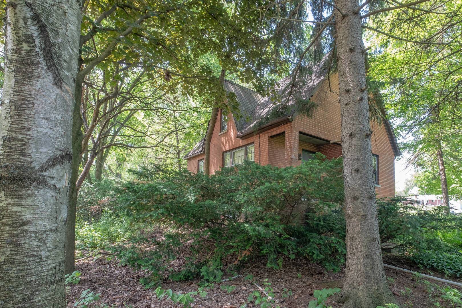 2331 West Palatine Road Palatine, IL 60067 - Photo 4 of 19 a house in middle of forest