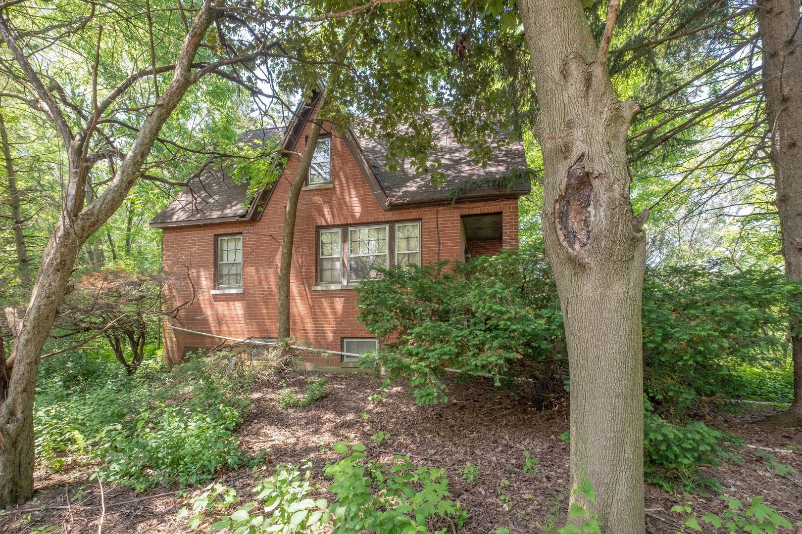 2331 West Palatine Road Palatine, IL 60067 - Photo 5 of 19 a view of a house with a tree in the yard