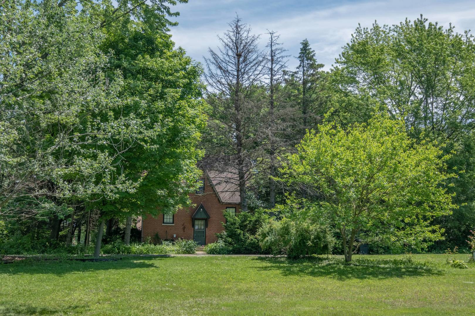2331 West Palatine Road Palatine, IL 60067 - Photo 8 of 19 a view of a backyard with large trees