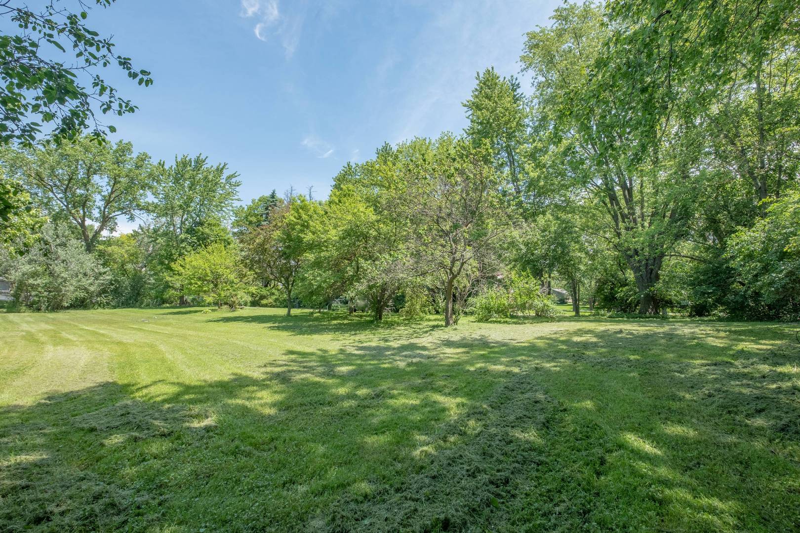 2331 West Palatine Road Palatine, IL 60067 - Photo 9 of 19 a view of a field with trees in the background