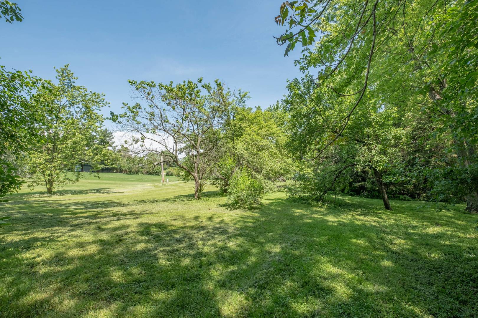 2331 West Palatine Road Palatine, IL 60067 - Photo 10 of 19 a view of a field with an trees