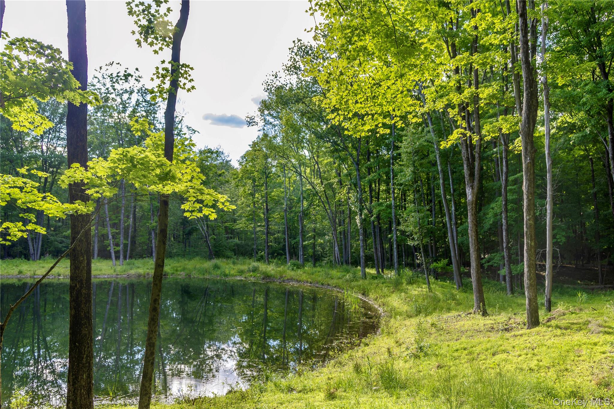 Mallory Road Verbank, NY 12585 - Photo 5 of 16