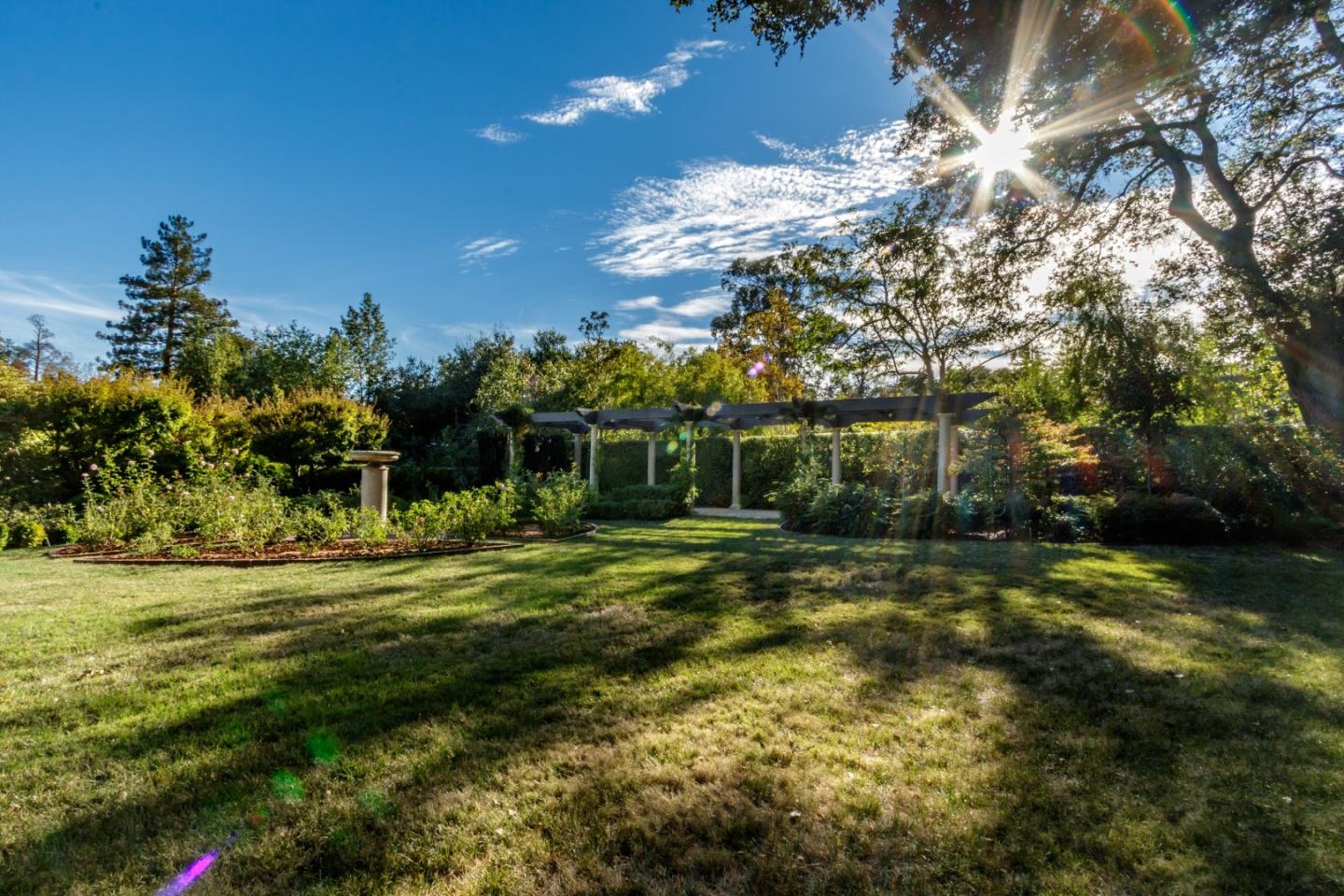 290 Richmond Road Hillsborough, CA 94010 - Photo 23 of 24 a view of a big yard with plants and large trees