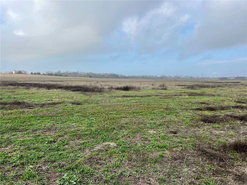 769 Fm 1240 Highway Riesel, TX 76682 - Photo 12 of 21