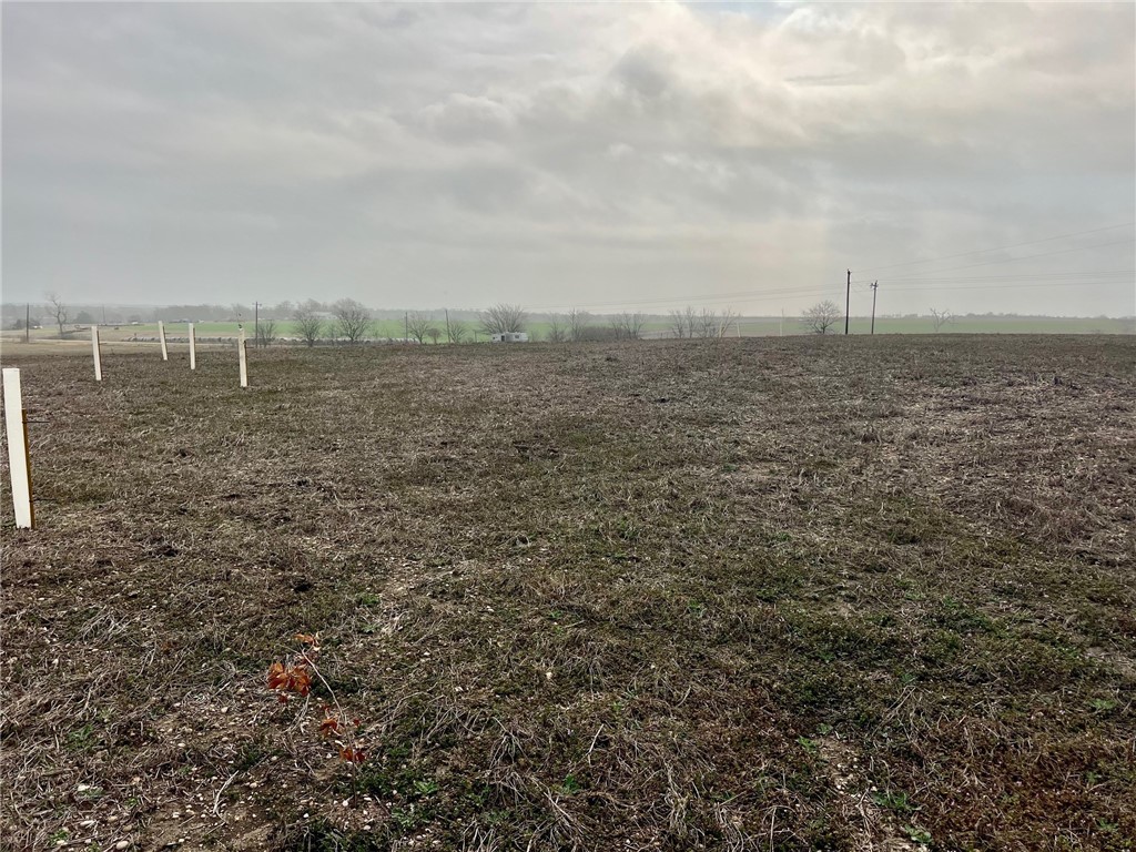 769 Fm 1240 Highway Riesel, TX 76682 - Photo 5 of 21