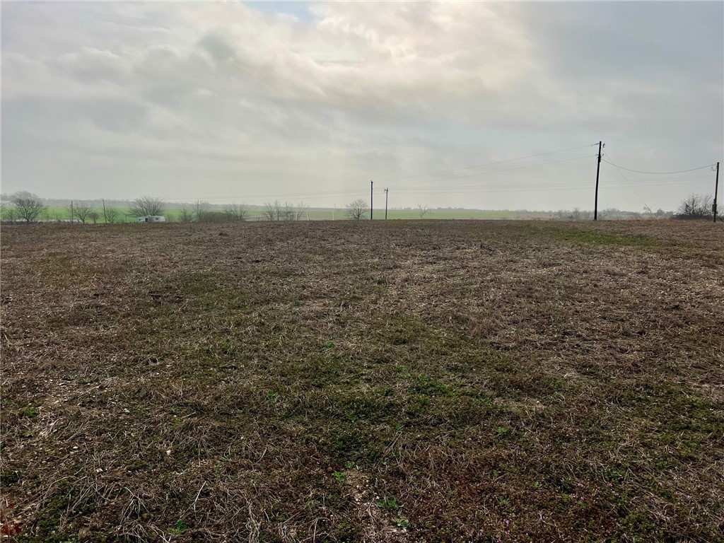 769 Fm 1240 Highway Riesel, TX 76682 - Photo 6 of 21