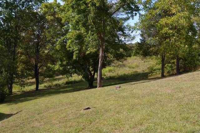 457 Mike Stuart Road Ronceverte, WV 24970 - Photo 21 of 69 Gallery Image 21