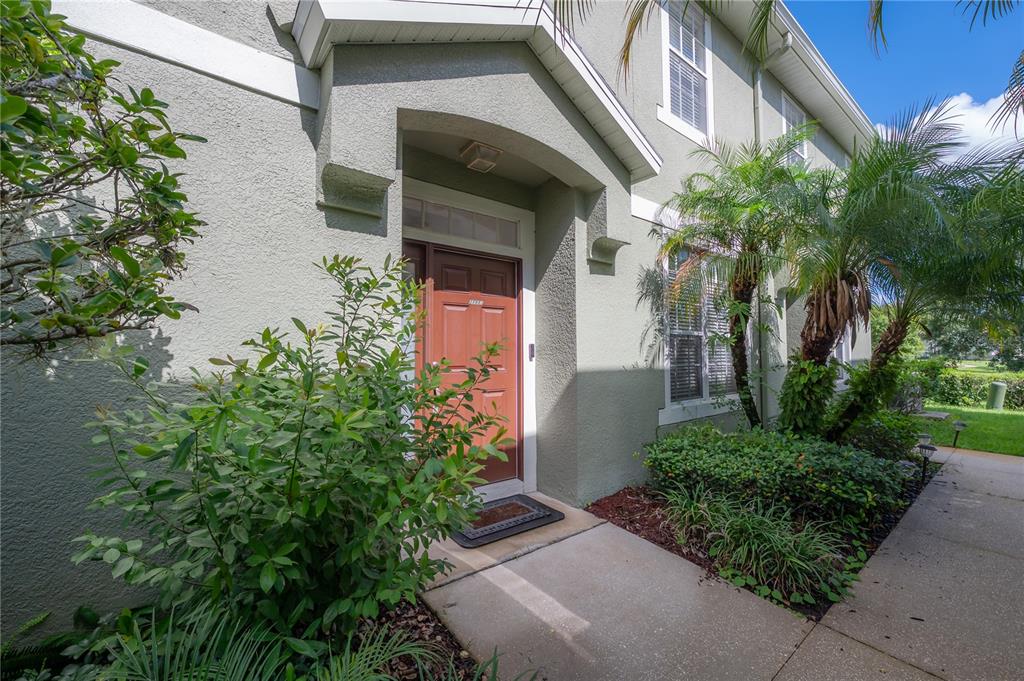 27834 Pleasure Ride Loop Wesley Chapel, FL 33544 - Photo 2 of 25 a view of a house with a plants next to a road