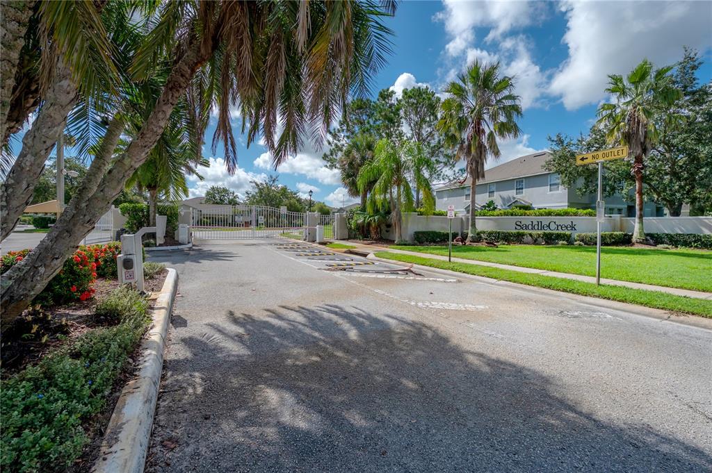 27834 Pleasure Ride Loop Wesley Chapel, FL 33544 - Photo 23 of 25 a view of a park with palm trees