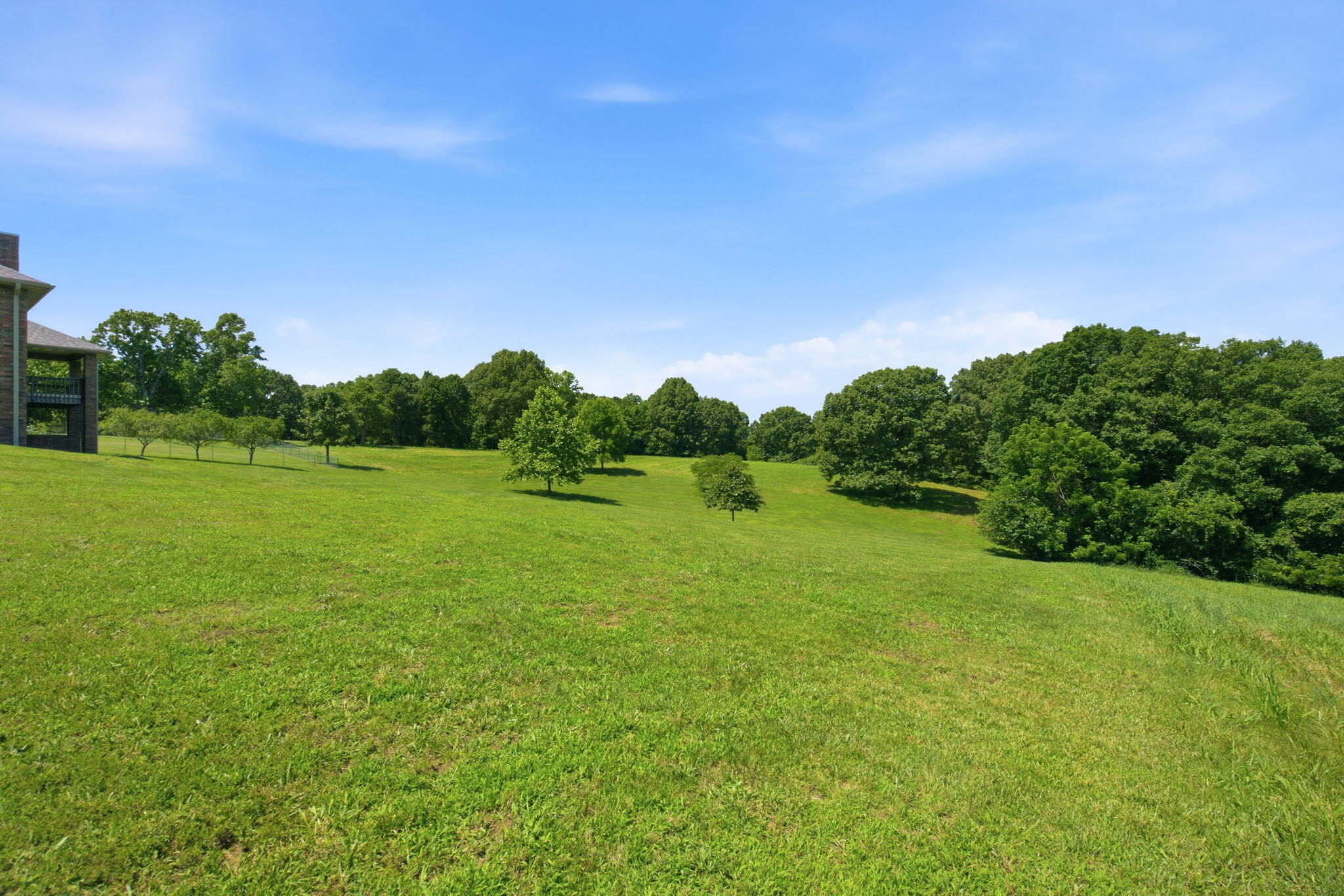 963 Walnut Shade Road Crane, MO 65633 - Photo 50 of 73 52-web-or-mls-_DSC2466