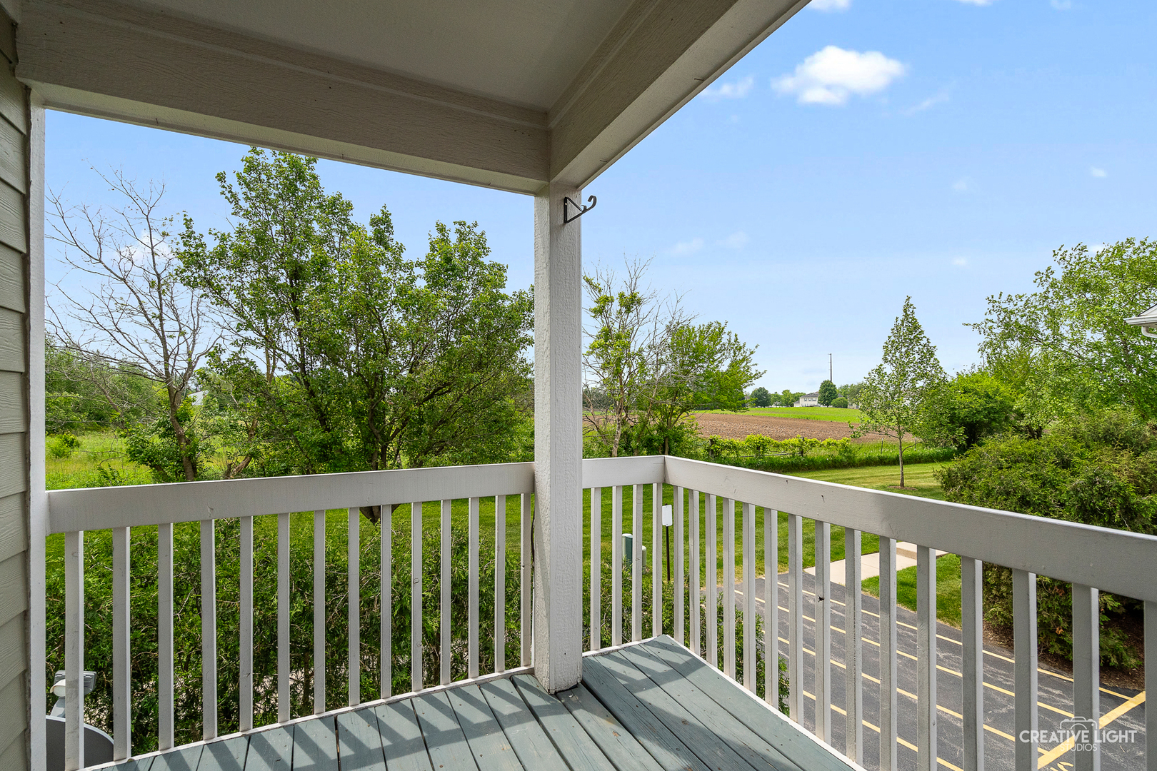 2503 Emily Lane Elgin, IL 60124 - Photo 8 of 29