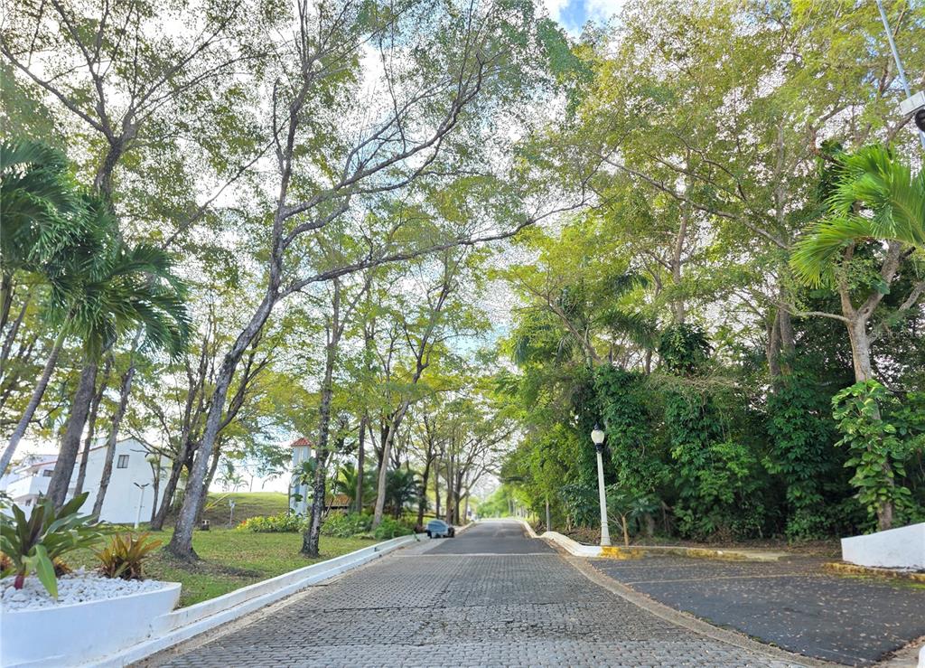 4 Rio Mar Boulevard, Unit 4C Rio Grande, PR 00745 - Photo 63 of 70 Gallery Image 63