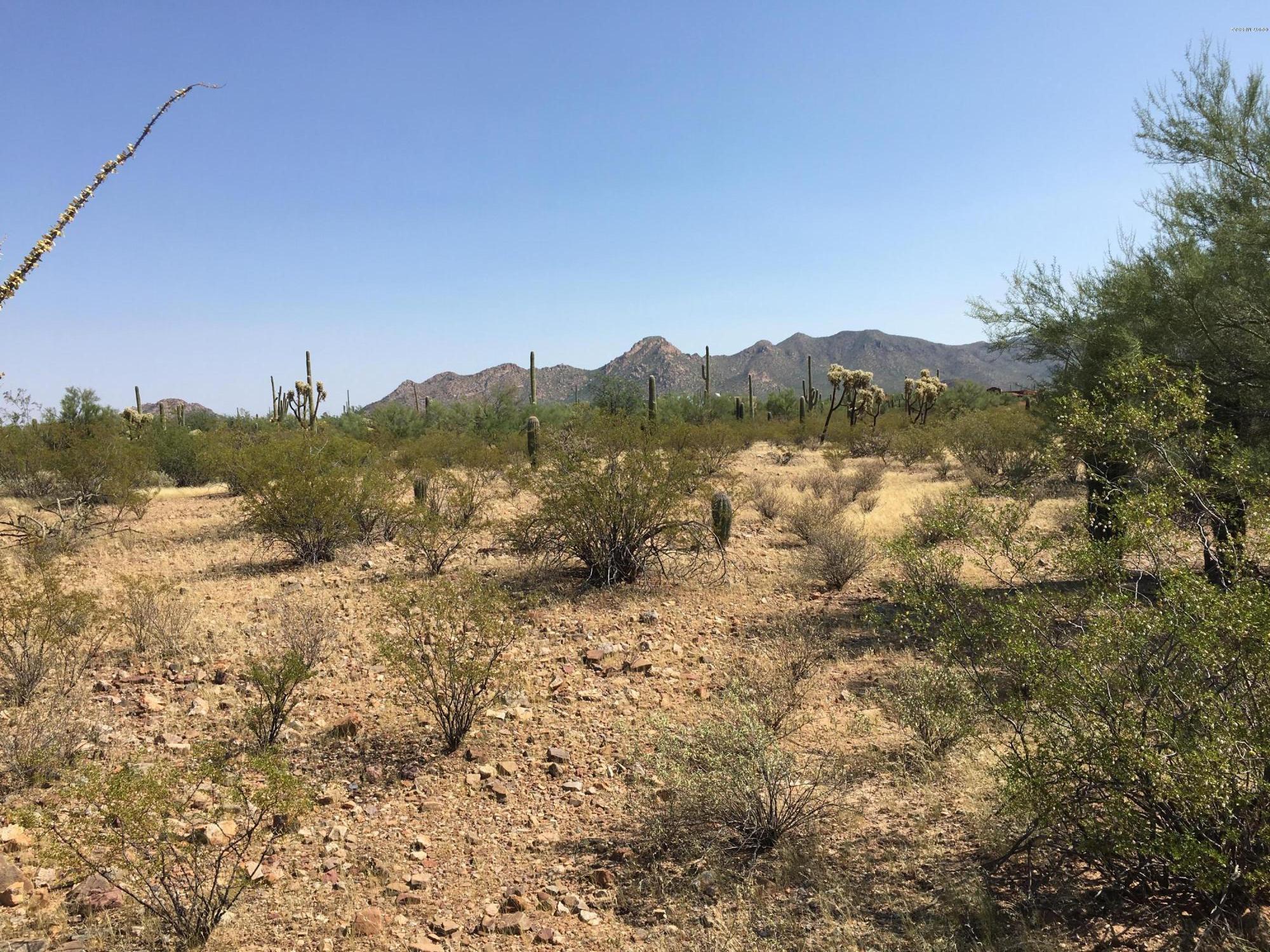 1650 North Sandario Road, Unit 3 Tucson, AZ 85743 - Photo 8 of 9