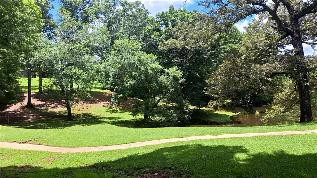 112 Brannon Road Buchanan, GA 30113 - Photo 3 of 41