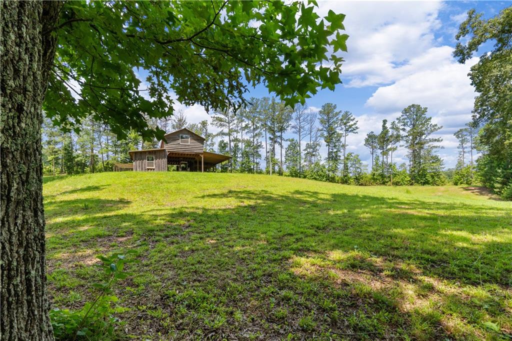 112 Brannon Road Buchanan, GA 30113 - Photo 38 of 41