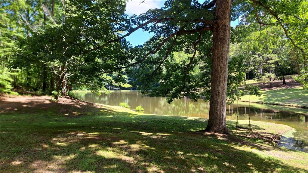 112 Brannon Road Buchanan, GA 30113 - Photo 8 of 41