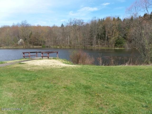 81 Bala Road Benton, PA 17814 - Photo 3 of 20