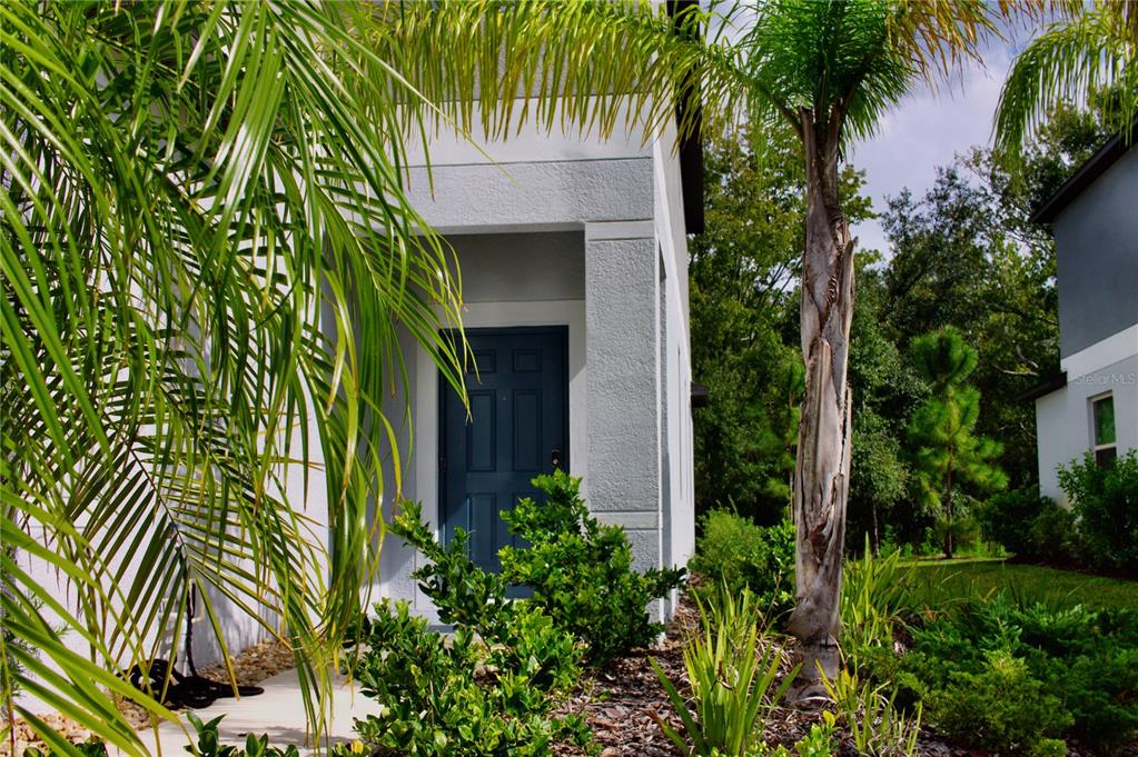 11871 Dumaine Valley Road Riverview, FL 33579 - Photo 3 of 17