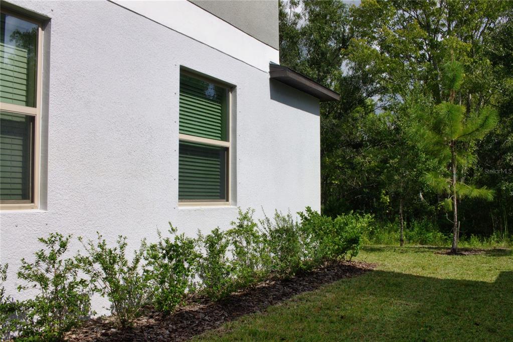 11871 Dumaine Valley Road Riverview, FL 33579 - Photo 5 of 17