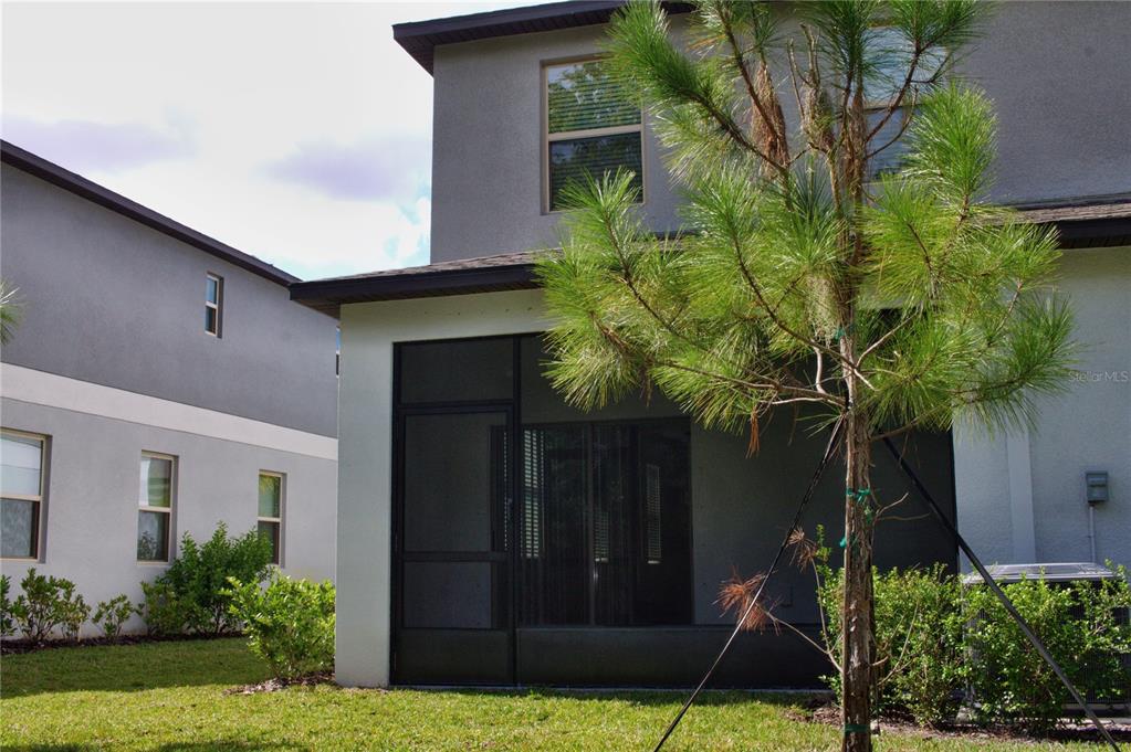 11871 Dumaine Valley Road Riverview, FL 33579 - Photo 7 of 17