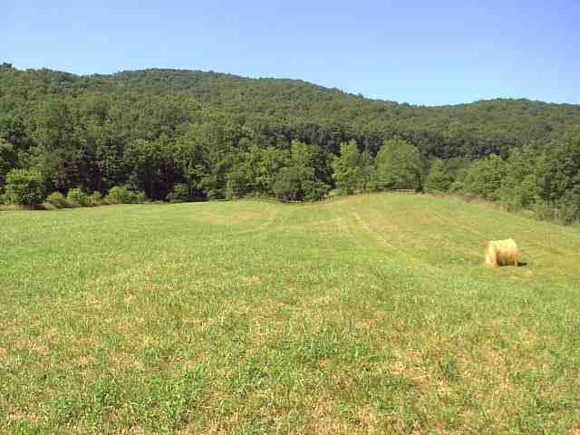 *** Carlock Creek Road Chilhowie, VA 24319 - Photo 7 of 7 Gallery Image 7