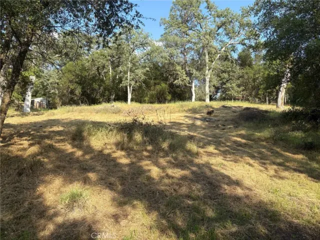 a view of yard with trees