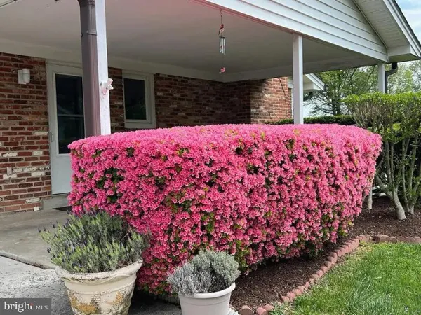 a garden view