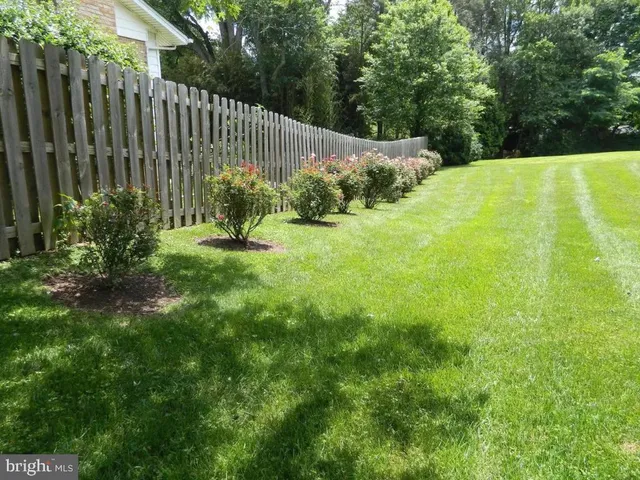 a view of garden with plants and large trees