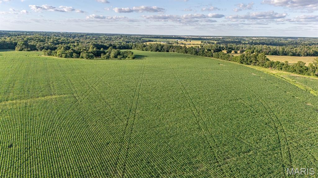 0 Gentry Road Monroe City, MO 63456 - Photo 9 of 19
