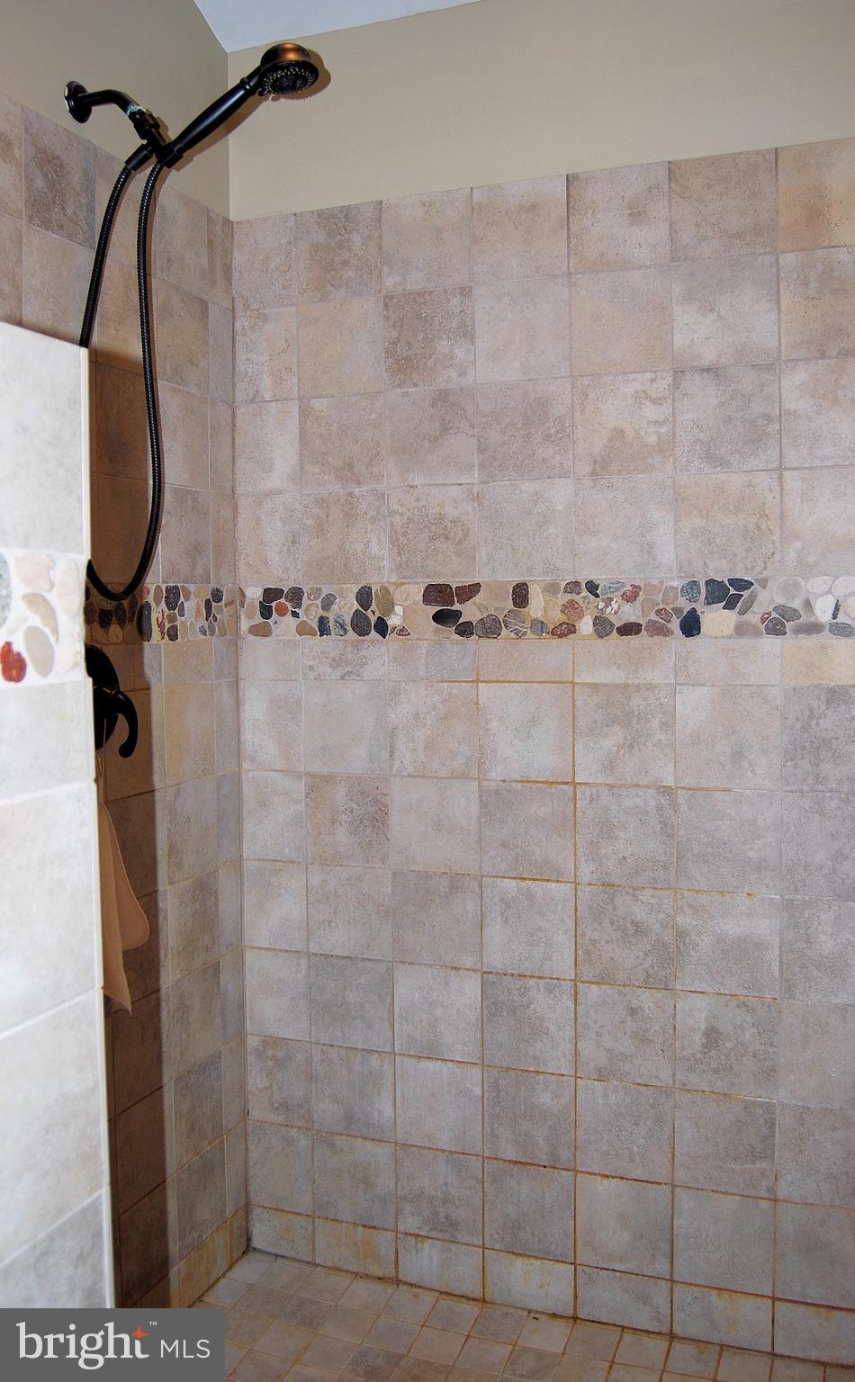 1012 Hartman Road Reading, PA 19606 - Photo 38 of 59 MBR - over-sized shower
