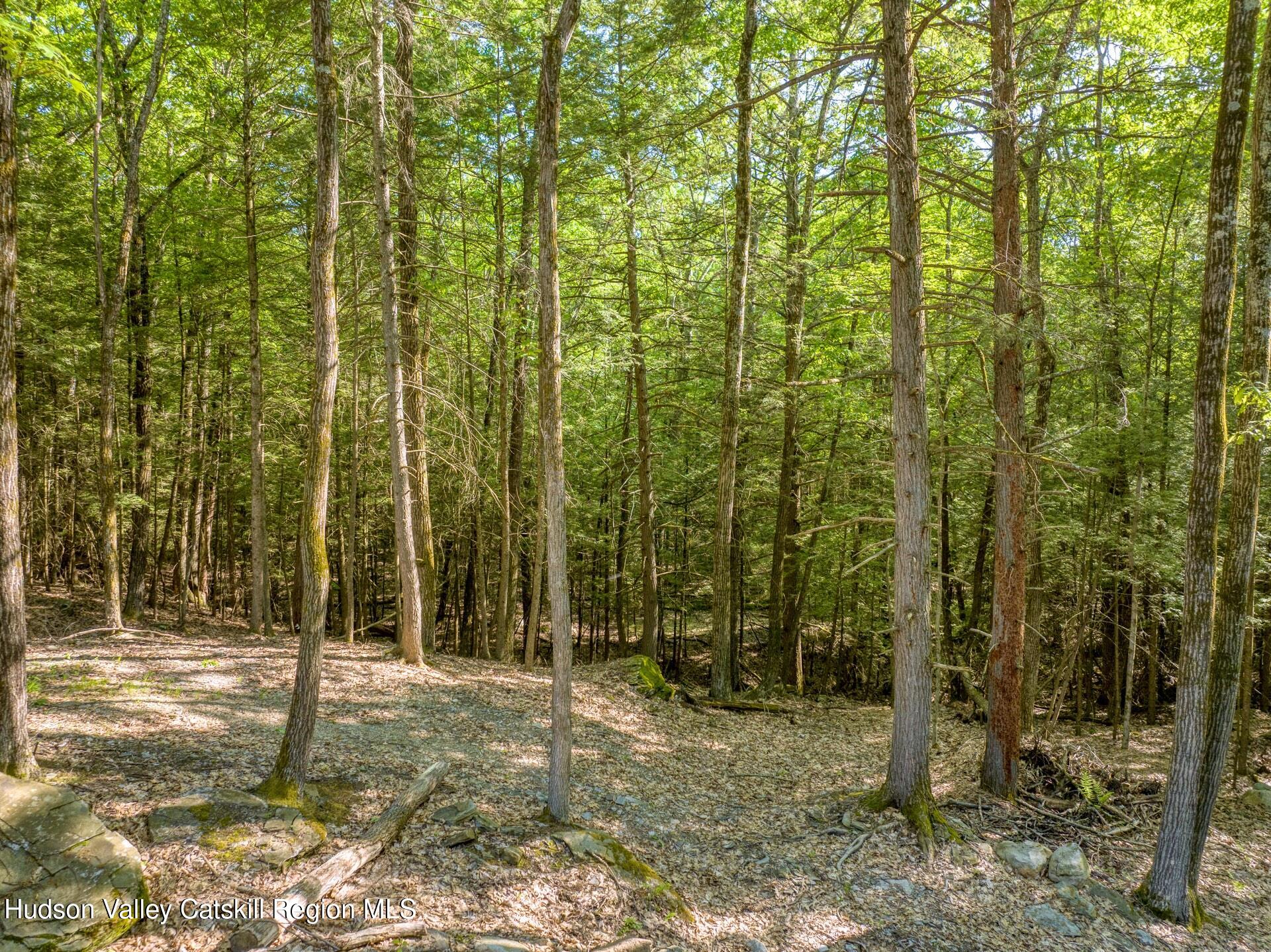 291 Acorn Hill Road Olive, NY 12461 - Photo 2 of 11 291 Acorn Hill Pic 1